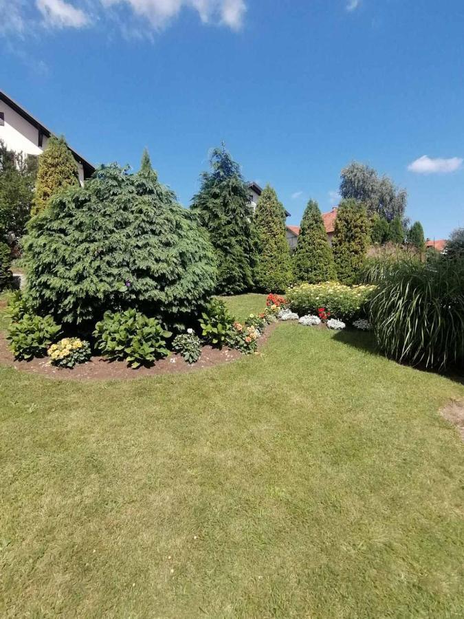Bozovic Mv Apartments 즐라티보 외부 사진